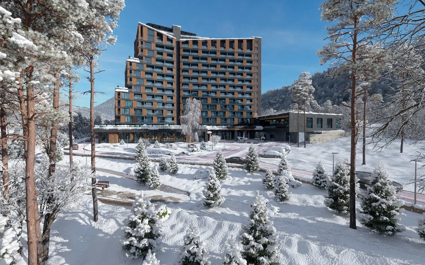 Рэдиент Алтай 5* в зимнем окружении